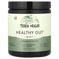 Комплекс для нормальной работы ЖКТ Terra Origin Healthy Gut со вкусом мяты, 243 г