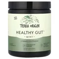 Комплекс для нормальної роботи ШКТ Terra Origin Healthy Gut зі смаком м'яти, 243 г