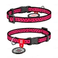 Нашийник для кішок Collar WAUDOG Nylon Кавун, ширина 10 мм, довжина 20-30 см