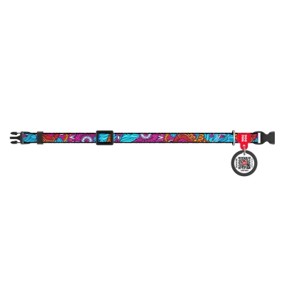 Ошейник для кошек Collar WAUDOG Nylon Лето, ширина 10 мм, длина 20-30 см