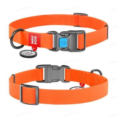 Нашийник для собак Collar WAUDOG Waterproof водостійкий пряжка пластик, ширина 25 мм, довжина 35-58 см, помаранчевий