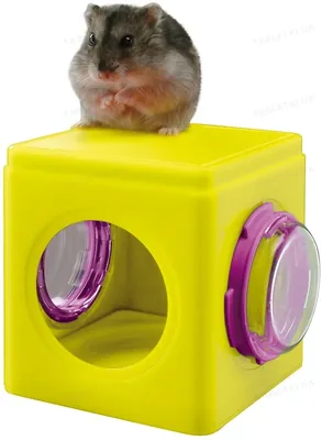 Будиночок для хом'яків Ferplast FPI 4836 CUBE ASSORTED модульний