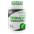 Стимулятор тестостерону 6PAK Nutrition Tribulus Terrestris, 90 таблеток