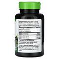 Черная бузина Nature's Way Black Elderberry 1150 мг, 100 веганских капсул