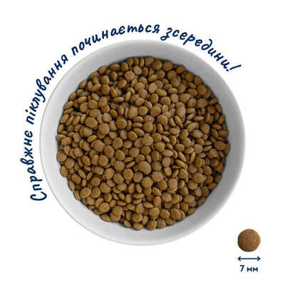 Корм сухой Home Food Kittens для котят с курицей, 1,6 кг