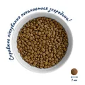 Корм сухий Home Food Kittens для кошенят з куркою, 1,6 кг