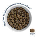 Корм сухой Home Food Puppy для щенков собак средних и крупных пород Форель с рисом, 1,6 кг