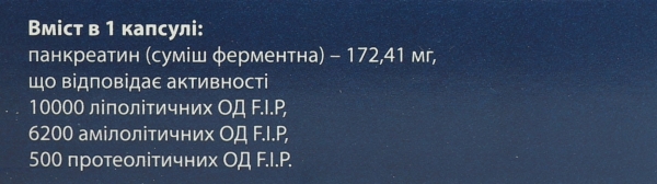 Панкреатин 10000 Профи Фарм капсулы №20