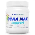 Амінокислоти Allnutrition BCAA Max Support яблуко, 500 г