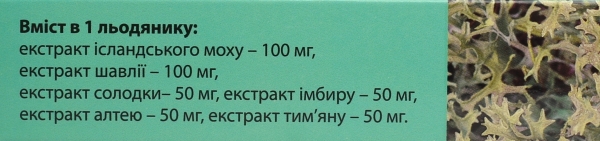 Лордикаф Fidem Pharm леденцы со вкусом мята-эвкалипт  №16