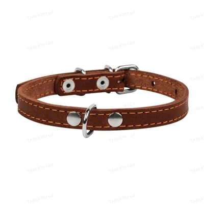 Нашийник Collar 00036 одинарний, ширина 14 мм, довжина 27-35 см, коричневий