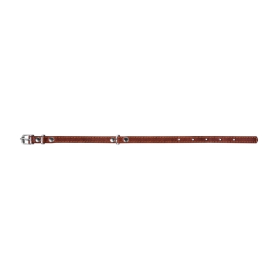 Нашийник Collar 00036 одинарний, ширина 14 мм, довжина 27-35 см, коричневий