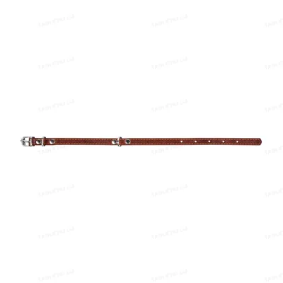 Нашийник Collar 00036 одинарний, ширина 14 мм, довжина 27-35 см, коричневий
