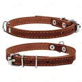 Нашийник Collar 00156 одинарний, ширина 10 мм, довжина 22-30 см, коричневий
