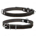 Нашийник Collar 01331 одинарний, чорний, 20 мм/32-40 см