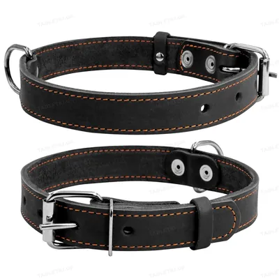 Нашийник Collar 01331 одинарний, ширина 25 мм, довжина 38-50 см, чорний