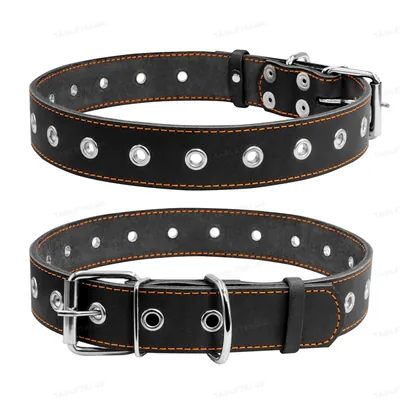 Нашийник Collar 02951 безрозмірний, ширина 35 мм, довжина 69 см, чорний