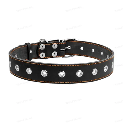 Нашийник Collar 02951 безрозмірний, ширина 35 мм, довжина 69 см, чорний