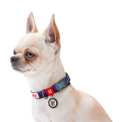 Ошейник Collar WAUDOG Nylon с QR-паспортом, рисунок NASA, пластиковый фастекс, ширина 15 мм, длина 23-35 см