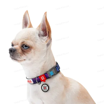 Нашийник Collar WAUDOG Nylon з QR-паспортом, малюнок NASA, пластиковий фастекс, ширина 15 мм, довжина 23-35 см