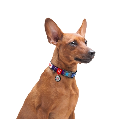 Ошейник Collar WAUDOG Nylon с QR-паспортом, рисунок NASA, пластиковый фастекс, ширина 15 мм, длина 23-35 см