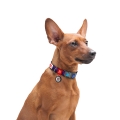 Ошейник Collar WAUDOG Nylon с QR-паспортом, рисунок NASA, пластиковый фастекс, ширина 15 мм, длина 23-35 см