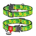 Нашийник Collar WAUDOG Nylon з QR-паспортом, малюнок Авокадо, металева пряжка-фастекс, ширина 15 мм довжина 23-25 см