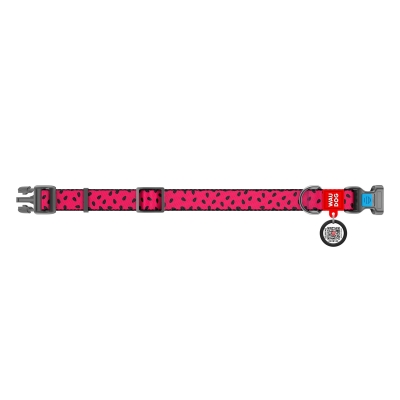 Ошейник Collar WAUDOG Nylon с QR-паспортом, рисунок Арбуз, пластиковый фастекс, ширина 15 мм длина 23-35 см