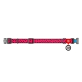 Ошейник Collar WAUDOG Nylon с QR-паспортом, рисунок Арбуз, пластиковый фастекс, ширина 15 мм длина 23-35 см