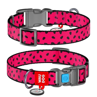 Нашийник Collar WAUDOG Nylon з QR-паспортом, малюнок Кавун, пластиковий фастекс, ширина 20 мм довжина 24-40 см
