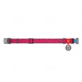 Нашийник Collar WAUDOG Nylon з QR-паспортом, малюнок Кавун, пластиковий фастекс, ширина 20 мм довжина 24-40 см