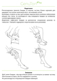 Бандаж для коленного сустава Ortonia GenuTon Plus динамический, с боковыми шарнирами, серо-голубой, размер 4