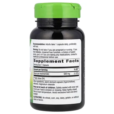 Ніацинамід (Вітамін В3) Nature's Way Niacinamide 500 мг, що не викликає почервоніння, 100 веганських капсул