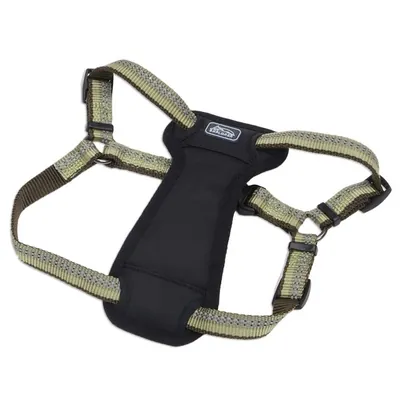 Шлея для собак Coastal K9 Explorer Harness 36945_FRN30, світловідбивна з нагрудником, колір папороть, 11,3-22,6 кг