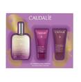 Набор Caudalie The des Vignes для тела
