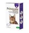 Краплі Prinocat від бліх, коростяних кліщів, профілактика дирофіляріозу для кішок 4-8 кг, 1 піпетки по 0,8 мл
