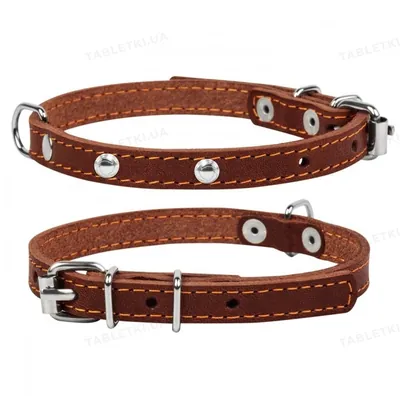 Нашийник Collar 00236 одинарний з прикрасами, ширина 12 мм, довжина 24-32 см, коричневий