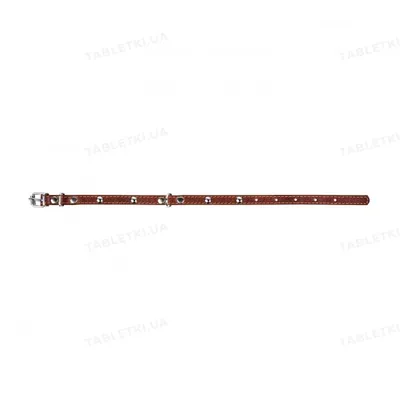 Нашийник Collar 00236 одинарний з прикрасами, ширина 12 мм, довжина 24-32 см, коричневий