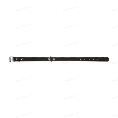 Нашийник Collar 01411 подвійний, ширина 20 мм, довжина 32-40 см чорний