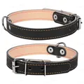 Нашийник Collar 01411 подвійний, ширина 20 мм, довжина 32-40 см чорний