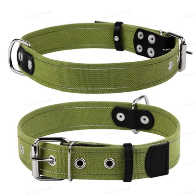Нашийник Collar 0144 брезент, 20 мм * 35-45 см