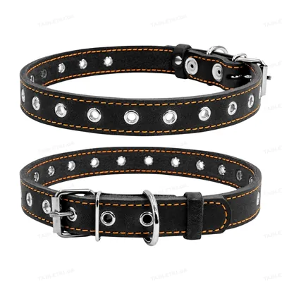 Нашийник Collar 01511 безрозмірний, ширина 20 мм, обхват шиї 50 см, чорний