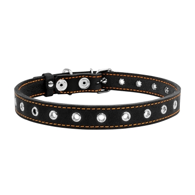 Ошейник Collar 01511 безразмерный, ширина 20 мм, обхват шеи 50 см, чёрный