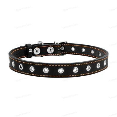 Нашийник Collar 01511 безрозмірний, ширина 20 мм, обхват шиї 50 см, чорний
