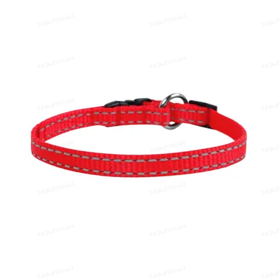 Нашийник Collar 01573 Dog Extreme одинарний,  ширина 15 мм, з регульованою довжиною 23-35 см, червоний