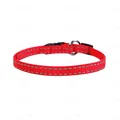 Нашийник Collar 01573 Dog Extreme одинарний,  ширина 15 мм, з регульованою довжиною 23-35 см, червоний