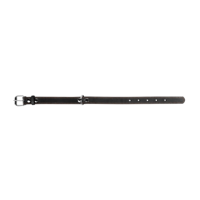 Нашийник Collar 02191 одинарний чорний, 25 мм * 38-50 см