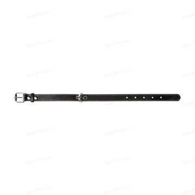 Нашийник Collar 02291 подвійний, ширина 25 мм, довжина 38-50 см, чорний