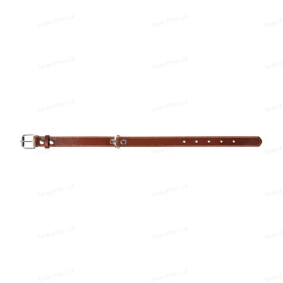 Нашийник Collar 02296 подвійний коричневий, 25 мм * 38-50 см