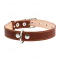 Нашийник Collar 02296 подвійний коричневий, 25 мм * 38-50 см